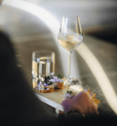 Albatross Death Cult